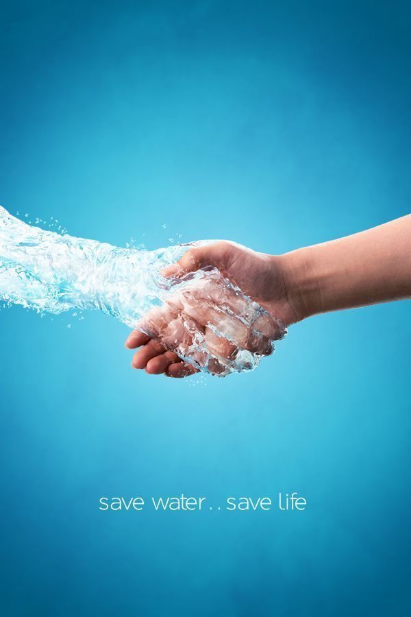 تخلص من سموم جسمك (Detox) مع Vera Water (فيرا ووتر)